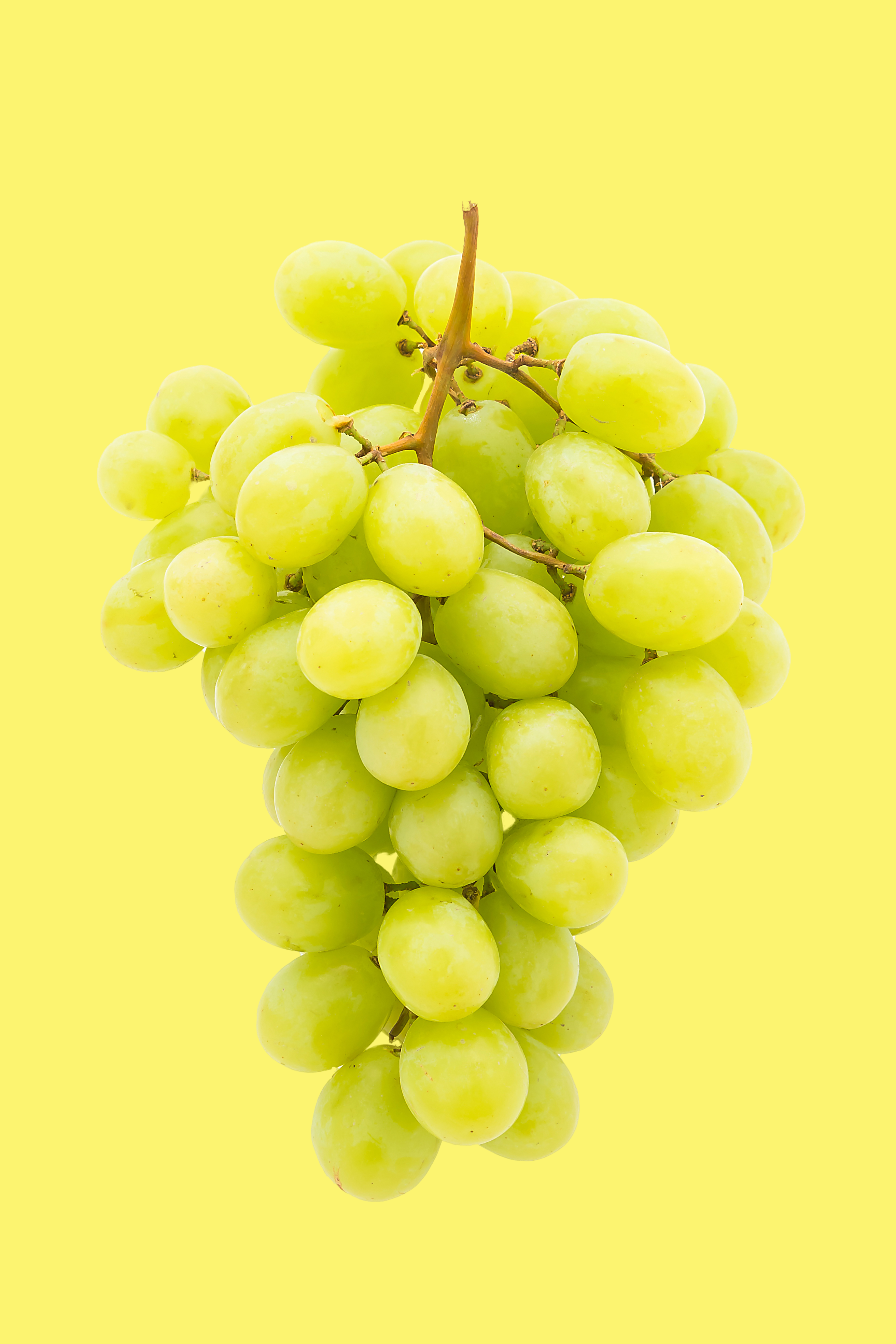 grapes grapes